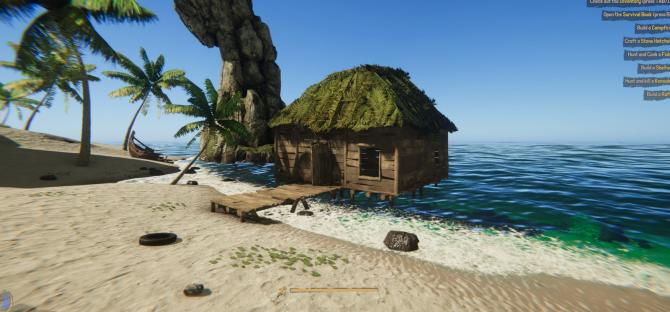 Project Castaway 