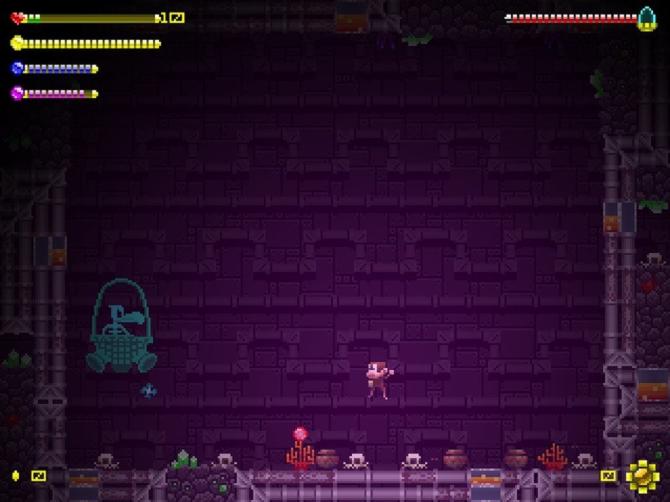 Adventure Apes and the Mayan Mystery 