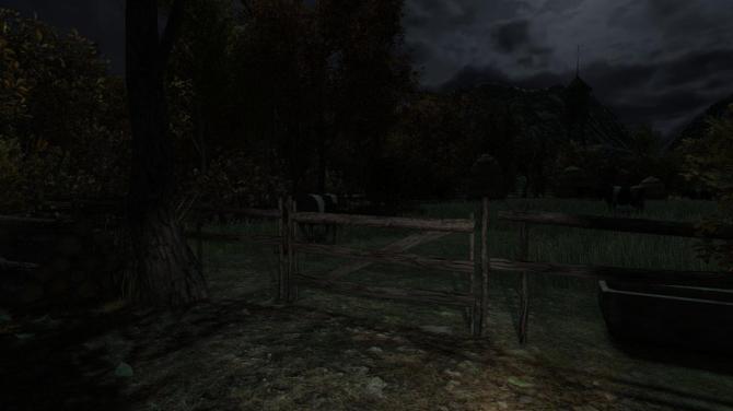 The Cows Are Watching 