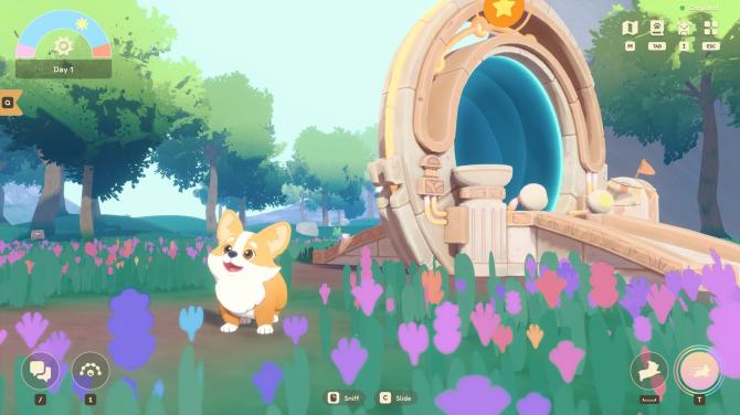Animalkind 
