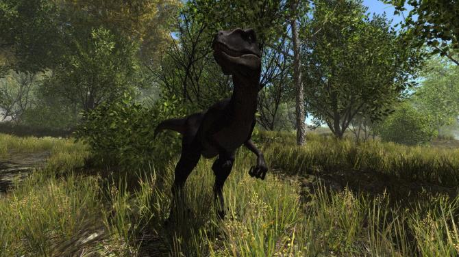 Dinosaur Forest 