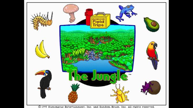 Let's Explore the Jungle (Junior Field Trips) 