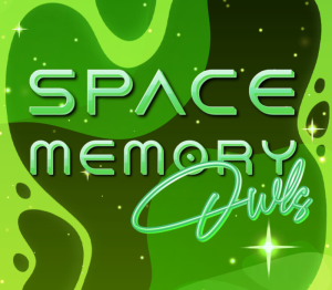 Space Memory: Owls