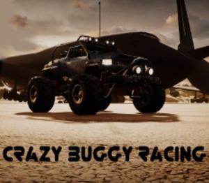 Crazy Buggy Racing