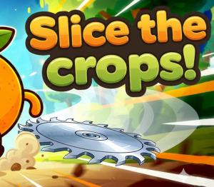 Slice the Crops!