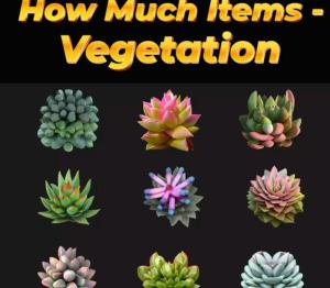 How Much Items - Vegetation