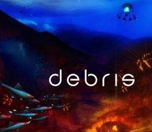 Debris