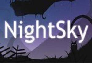 Nightsky