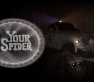 Your Spider
