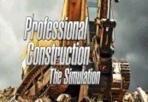 Professional Construction: The Simulation