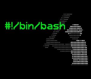 #!/bin/bash