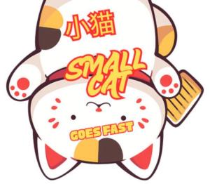 Small Cat Goes Fast