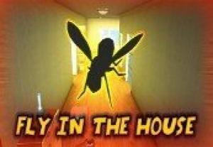 Fly in the House