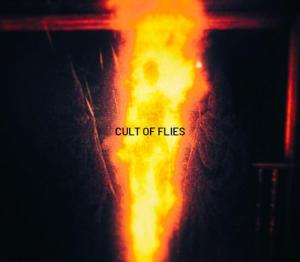 CULT OF FLIES