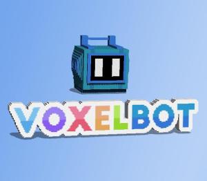 Voxel Bot