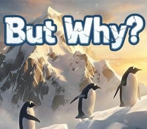 But Why?