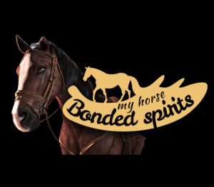 My Horse: Bonded Spirits