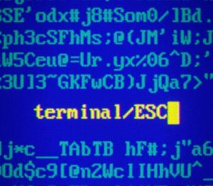 Terminal ESC