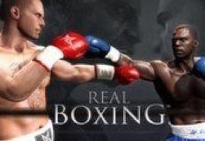 Real Boxing