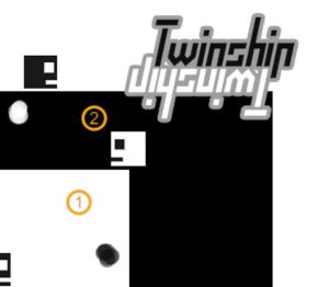 Twinship