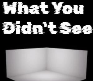 What You Didn't See