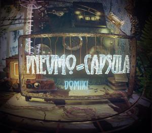 Pnevmo-Capsula: Domiki