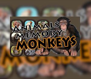 Animals Memory: Monkeys