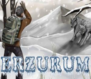 Erzurum