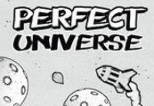 Perfect Universe