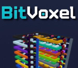 BitVoxel