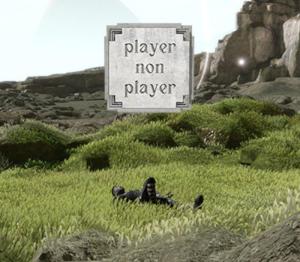 Player Non Player