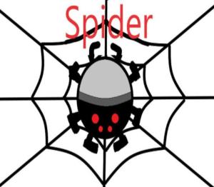 Spider