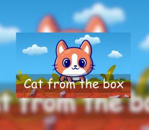 Cat from the box