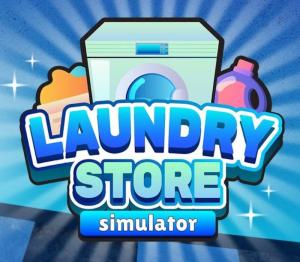 Laundry Store Simulator