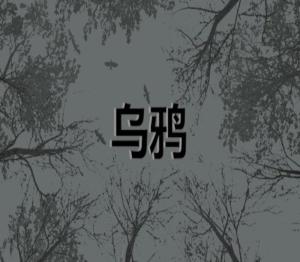 Crows - 乌鸦