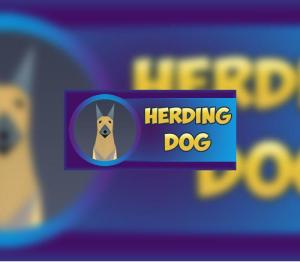 Herding Dog