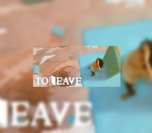 To Leave